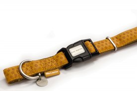 Halsband MacLeather Bruin