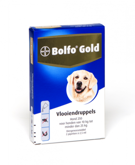 Bolfo Gold Hond 10 tot 25kg 2 Pipetten