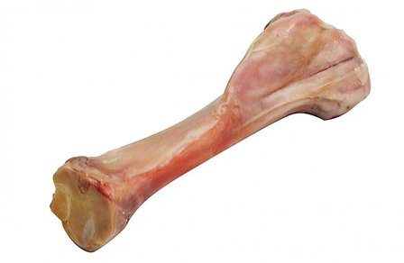 Parma Bone