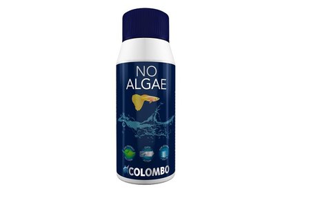 Colombo Algisin No Algae 100ml