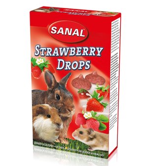 Sanal Strawberry Drops 45 Gram