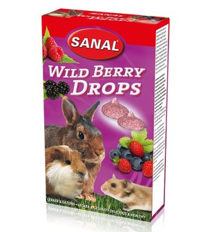 Sanal Wild Berry Drops 45 Gram
