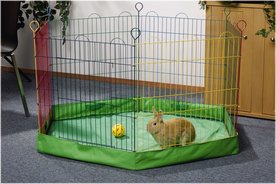 Konijnenren Multicolor Bodemhoes