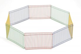 Knaagdierren Multicolor