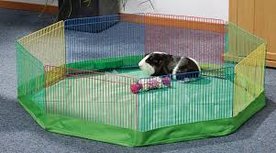 Knaagdierren Multicolor Bodemhoes