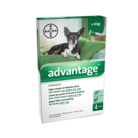 Advantage Hond 40 4 Pipetten