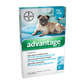 Advantage Hond 100 4 Pipetten