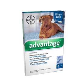 Advantage Hond 400 4 Pipetten