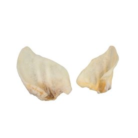 Honingoren Varken 2 stuks