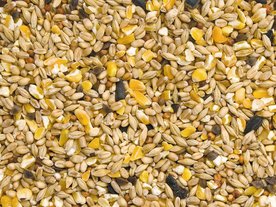 Gemengd Graan