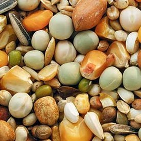 Postduiven Voer 4 kg