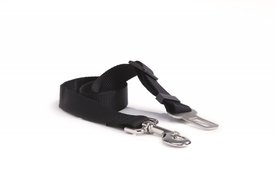 Tussenlijn Autogordel