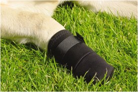 Beschermingsschoen Zwart 2 ST.