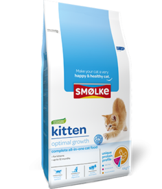 Smolke Kitten