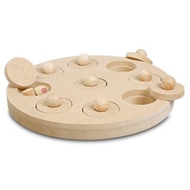 Hondenpuzzel Einstein