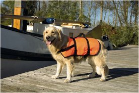 Honden Zwemvest