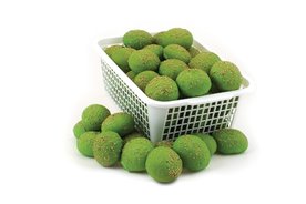 Knaagdierbroodje Klaver