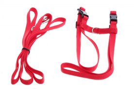 Kattentuig Nylon Rood Met Lijn