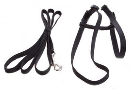 Kattentuig Nylon Zwart Met Lijn