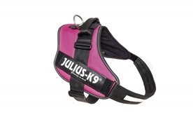 Julius K9 Powertuig Roze