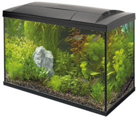 Superfish Start 100 zwart